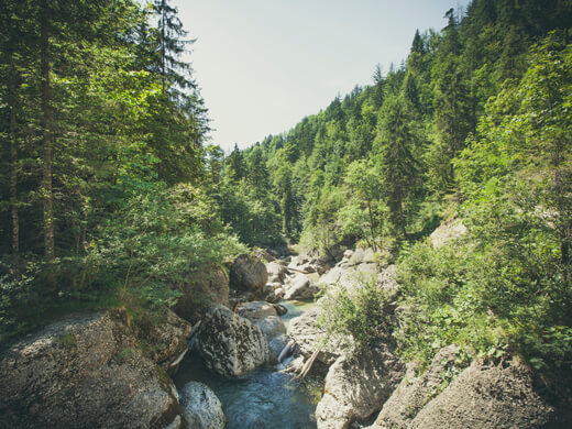 Idyllisches Oberstaufen: wandern mit Panoramablick auf die Alpen 2