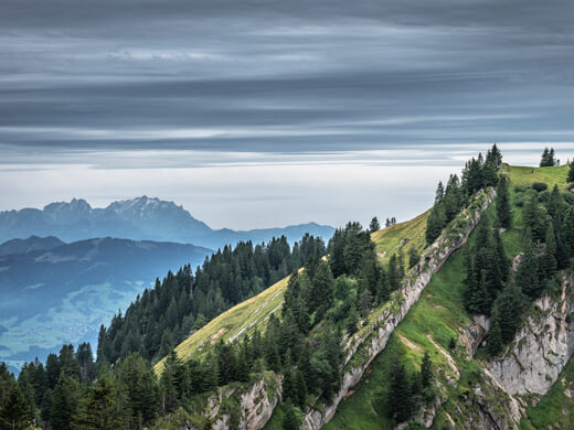 Idyllisches Oberstaufen: wandern mit Panoramablick auf die Alpen 4