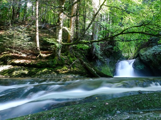 Idyllisches Oberstaufen: wandern mit Panoramablick auf die Alpen 5