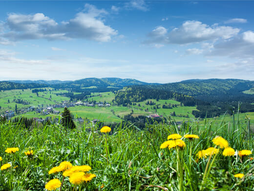 Von Füssen zum Schloss Neuschwanstein wandern: der malerische Süden Bayerns 5