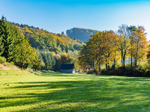 In Schmallenberg wandern: Rundwanderweg im Hochsauerland 2