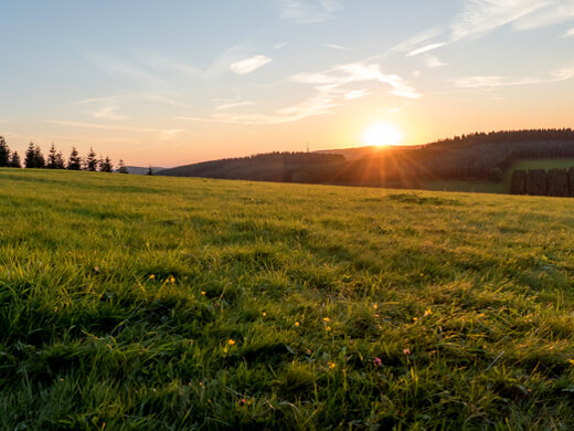 Wanderung auf den Clemensberg bei Winterberg 