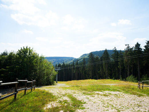 In Winterberg wandern: über die Hochheide auf den Clemensberg 3