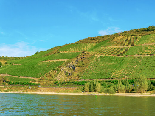 Vierseenblick in Boppard: Wandern am schönen Mittelrhein 2