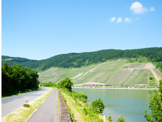 Rheinblick bei Brey: Wandern entlang der Weinfelder im Mittelrheintal 1