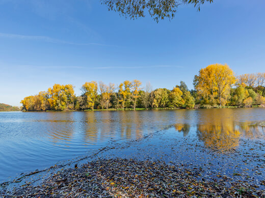 Wandern auf dem Moorerlebnispfad bei Wesel 