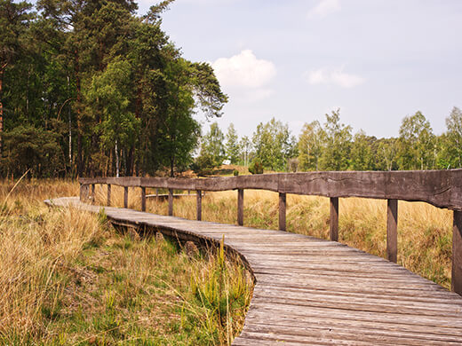 Wandern bei Wesel: Moorlandschaften und den Diersfordter Wald entdecken 1