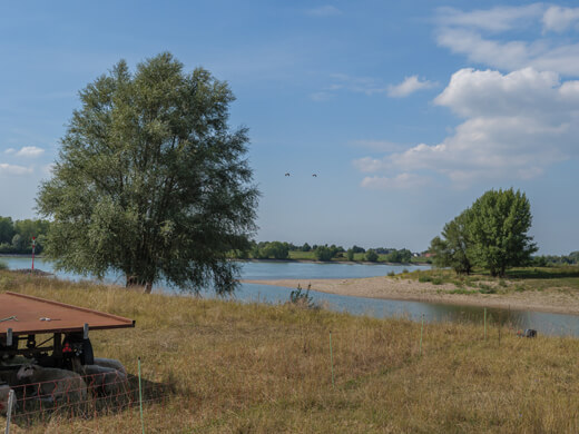 Wandern bei Wesel: Moorlandschaften und den Diersfordter Wald entdecken 5