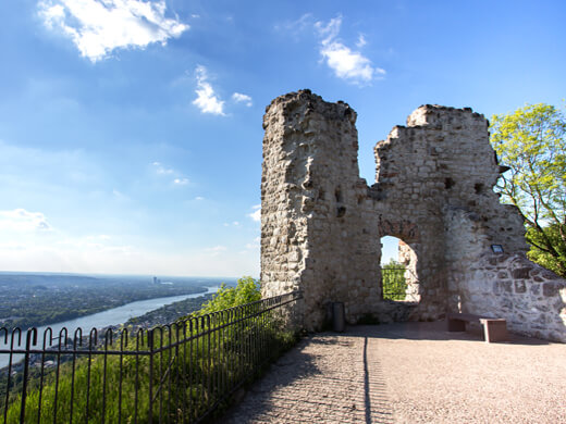 Der Fernwanderweg Rheinsteig: Wandern entlang zur Drachenburg bei Königswinter 4