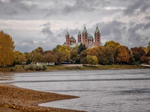 Auf der Südroute des Pfälzer Jakobswegs: vom Speyerer Dom nach Germersheim 4