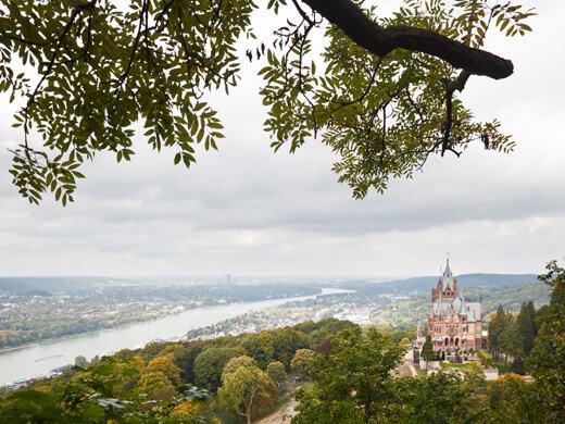 In Königswinter wandern: durch das Siebengebirge bis zum Schloss Drachenburg 2