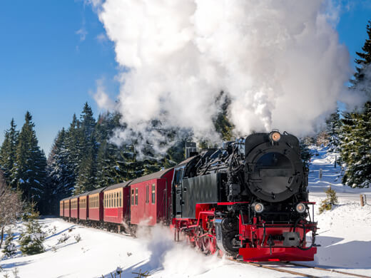 In Wernigerode wandern: der Märchenweg zum Kaiserturm 3