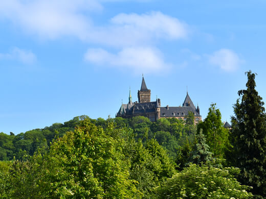 In Wernigerode wandern: der Märchenweg zum Kaiserturm 4