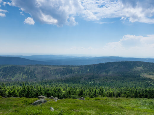 Bad Lauterberg: Wandern am Wiesenbeker Teich 3