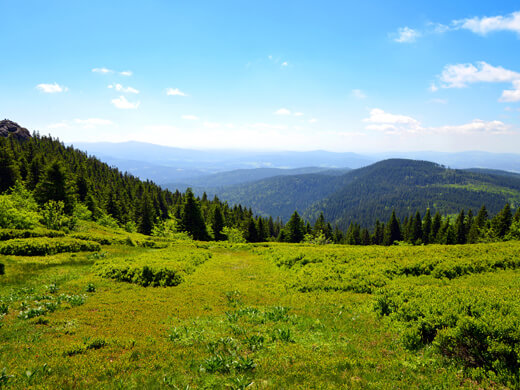 In Bodenmais wandern: den Kinderwanderweg mit Fitnessparcours über die Riederinfelsen erkunden 1