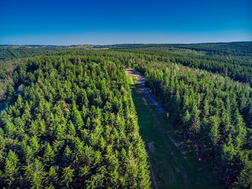 In Altenberg wandern: die einzigartige Natur des Erzgebirges erleben 2