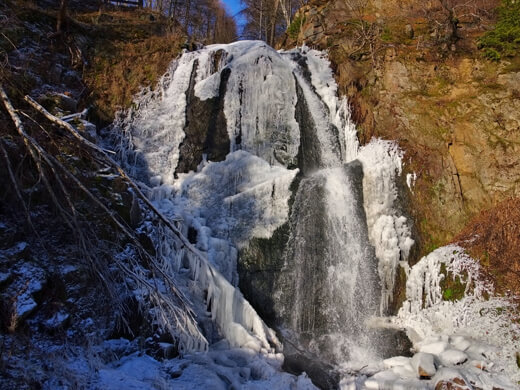 In Altenberg wandern: die einzigartige Natur des Erzgebirges erleben 4