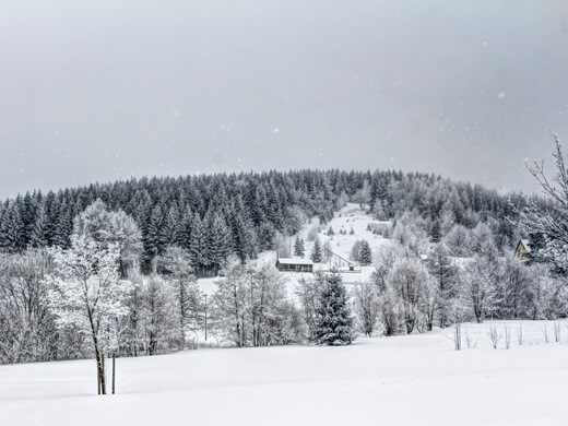 In Altenberg wandern: die einzigartige Natur des Erzgebirges erleben 5