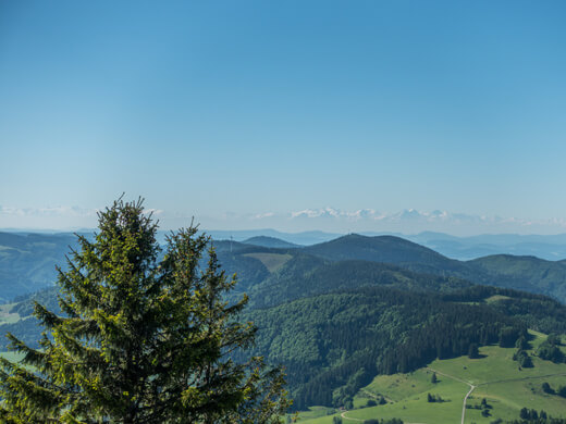 Eine Runde um den Titisee: Wandern nahe Hinterzarten im Schwarzwald 2