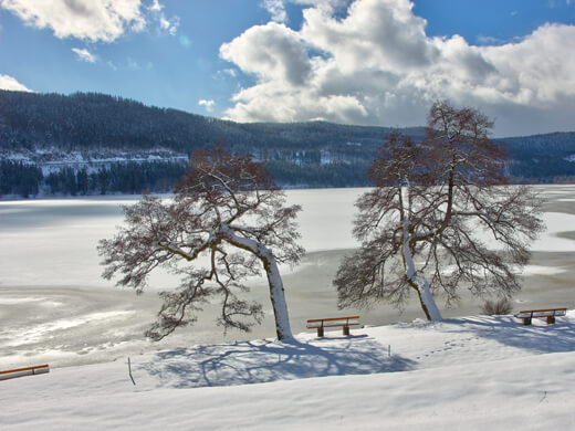 Eine Runde um den Titisee: Wandern nahe Hinterzarten im Schwarzwald 4