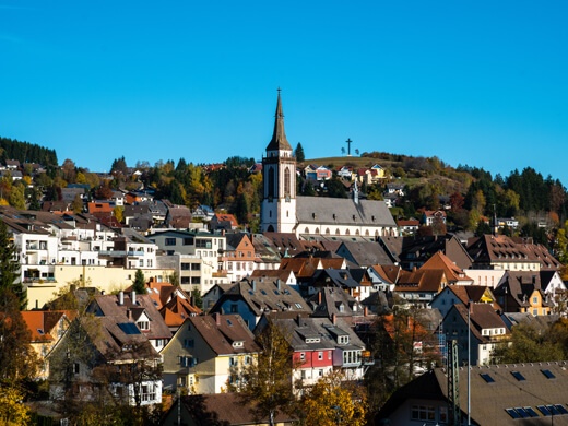 Eine Runde um den Titisee: Wandern nahe Hinterzarten im Schwarzwald 5