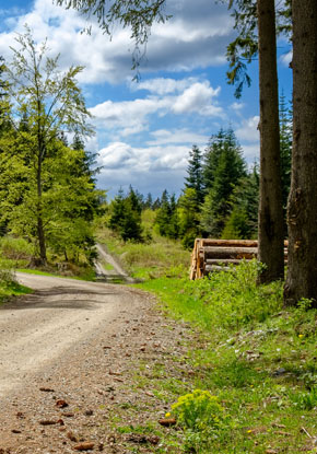 Hotels in Bad Lauterberg im Harz 