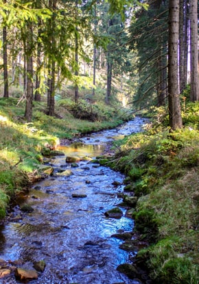 Unsere Hotelempfehlungen für das Wandern in Wolkenstein